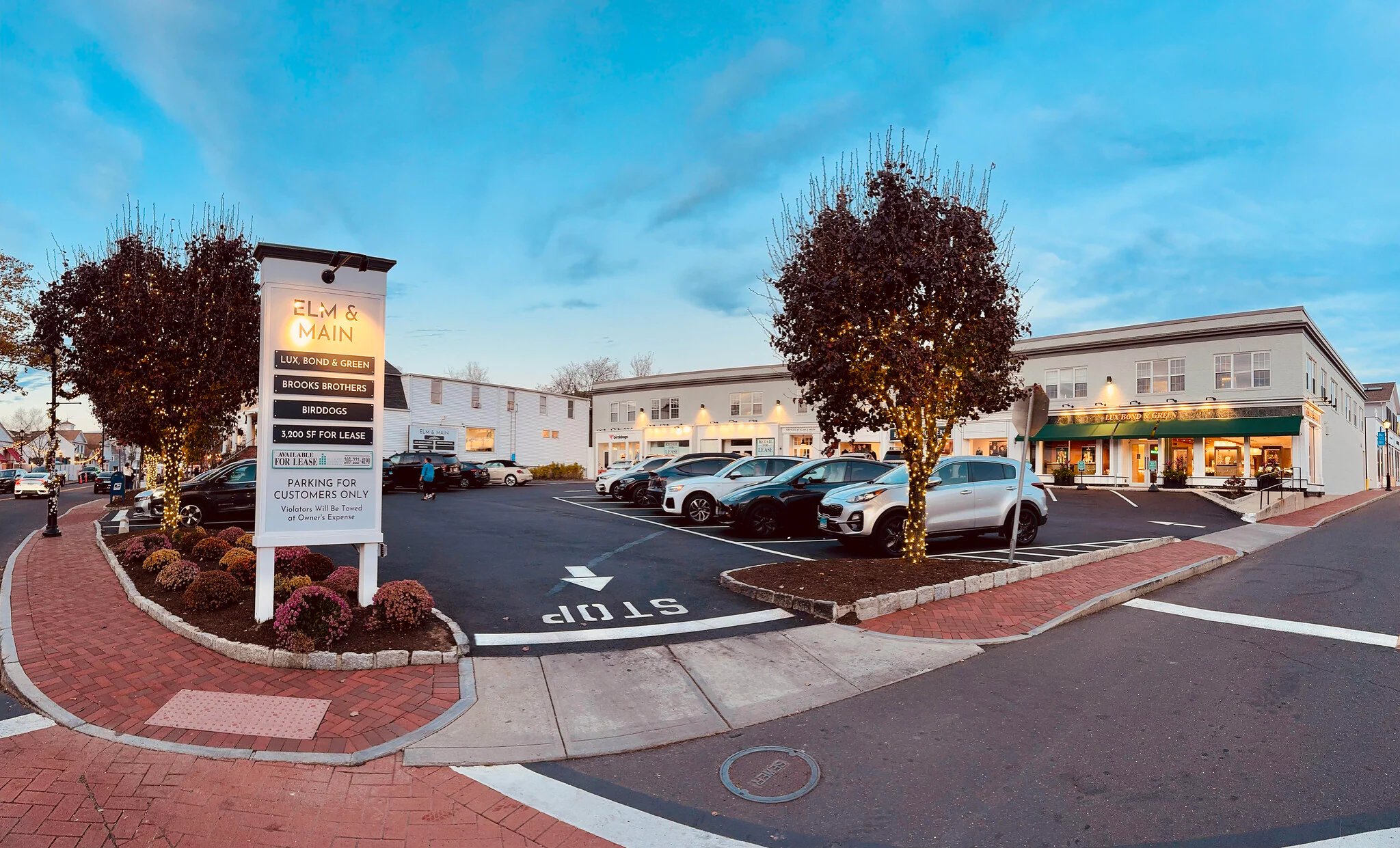 Elm & Main
